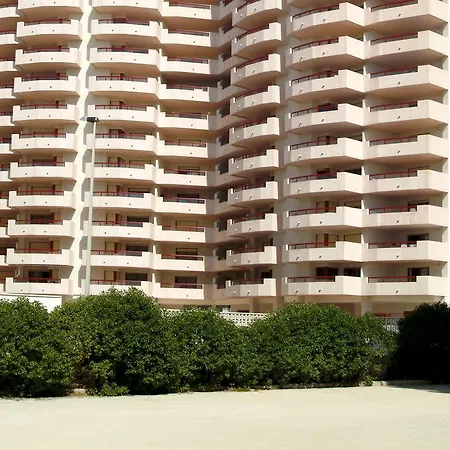 Amatista Unitursa Calpe